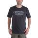 Футболка Carhartt Graphic Hard Work T-Shirt S/S - 103406 103406 фото 2